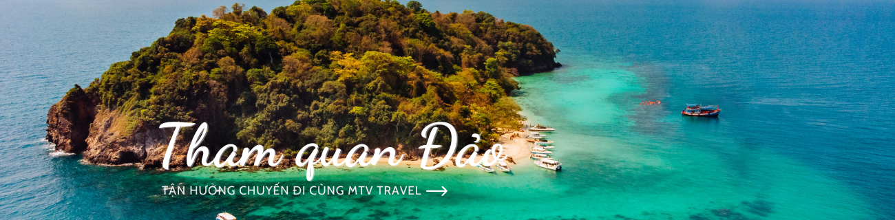 https://mtvtravel.com.vn/
